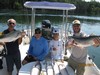 (07/02/2017) - Nice Striped Bass